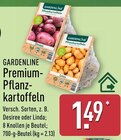 Desiree von Gardenline im aktuellen ALDI Nord Prospekt