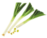 Aldi Corbeil-Essonnes - Promo Poireaux Promo Poireaux à 1,29 € dans le catalogue Aldi à Corbeil-Essonnes