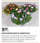 FRÜHLINGSBLÜHER IN ZINKSCHALE im aktuellen OBI Prospekt