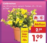 Netto Marken-Discount Altenburg - Calibrachoa Angebot im Prospekt Calibrachoa bei Netto Marken-Discount im Altenburg Prospekt für 1,99 €