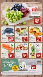 Staubsauger im nahkauf Prospekt in Elmshorn Aktueller nahkauf Prospekt mit Staubsauger, "nichts liegt näher", Seite 3