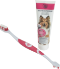 Kit de soin dentaire Take Care - Take Ca dans le catalogue Maxi Zoo