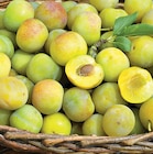 Prune Reine-Claude dans le catalogue Netto