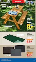 Offre Plante Artificielle dans le catalogue Lidl du moment à la page 35