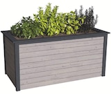 Hochbeet im POCO Prospekt Hochbeet im aktuellen POCO Prospekt für 174,99 €