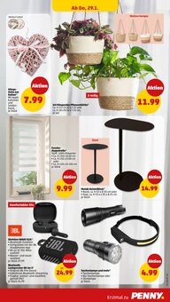 Blumentopf im aktuellen Penny Prospekt (Karlsruhe) Blumentopf im Penny Prospekt "Wer günstig will, muss Penny." mit 44 Seiten (Karlsruhe)