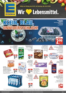 EDEKA Prospekt Wir lieben Lebensmittel! mit  Seiten in Rauhenebrach und Umgebung