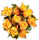 Netto Marken-Discount - Moosrosen Angebot im Prospekt Moosrosen bei Netto Marken-Discount im Prospekt "" für 1,99 €