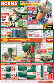 Dekoration im Norma Prospekt in Coburg Aktueller Norma Prospekt mit Dekoration, "Mehr fürs Geld", Seite 1