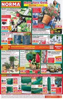 Teppich im Norma Prospekt "Mehr fürs Geld" mit 28 Seiten (Würzburg)