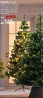 TANNENBAUM im Angebot bei Möbel Wallach in Langenhagen TANNENBAUM Angebote bei Möbel Wallach Langenhagen für 149,00 €