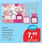 Raumduft Intense & Dark Rose von Ipuro im aktuellen budni Prospekt