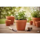 Pots terre cuite dans le catalogue Carrefour