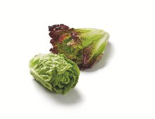 Mini Romana Salatherzen Angebot in Bad Aibling im aktuellen Prospekt bei Lidl in Bad Aibling