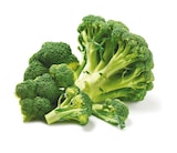 Broccoli bei Netto mit dem Scottie im Erkner Prospekt für 1,29 €