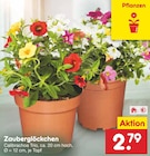 Zauberglöckchen im Angebot bei Netto Marken-Discount in Remscheid Zauberglöckchen Angebote bei Netto Marken-Discount Remscheid für 2,79 €