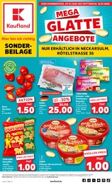 Supermarkt Prospekt von Kaufland in Helmstadt-Bargen Aktueller Kaufland Supermärkte Prospekt für Helmstadt-Bargen: Sonderbeilage mit 8} Seiten, 09.01.2025 - 15.01.2025