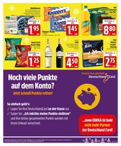 Aktueller EDEKA Prospekt mit Katzenfutter, "Kleine Preise für die schönste Zeit des Jahres!", Seite 29