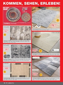 Teppich im Möbelzentrum Pforzheim Prospekt "DAS KANN NUR DER PREISBRECHER" mit 24 Seiten (Heilbronn)