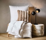 Ganzjahresbett Angebote von CENTA-STAR bei XXXLutz Neubrandenburg für 99,99 €