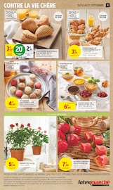 Plante Verte Angebote im Prospekt "LE TRÈS GROS ANNIVERSAIRE" von Intermarché auf Seite 15