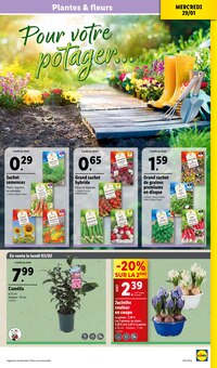 Promo Pot En Céramique dans le catalogue Lidl du moment à la page 33