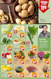 Geschenkartikel Angebot & Preis im aktuellen REWE Prospekt Geschenkartikel Angebot im aktuellen REWE Prospekt auf Seite 13
