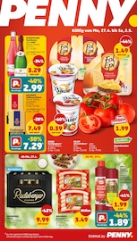 Aktueller Penny Discounter Prospekt in Lostau und Umgebung, "Wer günstig will, muss Penny." mit 42 Seiten, 27.04.2026 - 03.05.2026