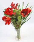 Amaryllis Strauß im aktuellen Netto mit dem Scottie Prospekt