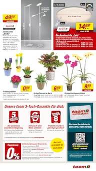 Blumen im toom Baumarkt Prospekt "Respekt, wer's selber macht." mit 12 Seiten (Salzgitter)