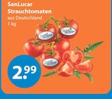 Strauchtomaten bei V-Markt im Rottenburg Prospekt für 2,99 €