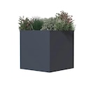 Westmann Pflanzkasten Talus für 129,99 € bei POCO im Angebot Westmann Pflanzkasten Talus im aktuellen POCO Prospekt