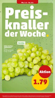 Erdbeeren im Penny Prospekt "Wer günstig will, muss Penny." mit 42 Seiten (Bochum)