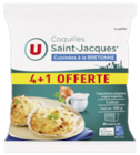 Bi1 Saillenard - Promo Coquilles Saint-Jacques MSC Promo Coquilles Saint-Jacques MSC à 5,45 € dans le catalogue Bi1 à Saillenard