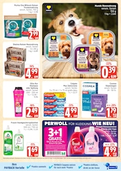 Shampoo im Marktkauf Prospekt in Buxtehude Aktueller Marktkauf Prospekt mit Shampoo, "Top Angebote", Seite 23