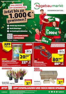 Aktueller Hagebaumarkt Prospekt "SO günstig geht das!" Seite 1 von 20 Seiten für Bad Oldesloe
