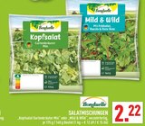 Kopfsalat Gartenkräuter Mix oder Mild & Wild Angebote von Bonduelle bei Marktkauf Erkrath für 2,22 €