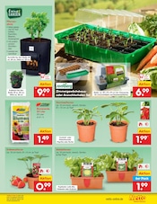 Gartenhaus im Netto Marken-Discount Prospekt in Braunschweig Aktueller Netto Marken-Discount Prospekt mit Gartenhaus, "Aktuelle Angebote", Seite 41
