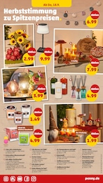 Lichterkette Angebot & Preis im aktuellen Penny Prospekt Lichterkette Angebot im aktuellen Penny Prospekt auf Seite 25