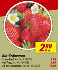 Aktuelle Erdbeeren Angebote bei toom Baumarkt in Hannover Aktuelles Bio-Erdbeeren Angebot bei toom Baumarkt in Hannover ab 2,99 €