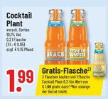 Cocktail Plant im Angebot bei Trinkgut in Gelsenkirchen Cocktail Plant Angebote bei Trinkgut Gelsenkirchen für 1,99 €