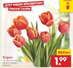 Aktuelles Tulpen Angebot bei Netto Marken-Discount in Bremen ab 1,99 €