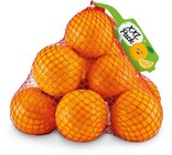 Orangen von  im aktuellen Netto Marken-Discount Prospekt für 3,99 €