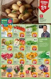 Ähnliche Bonsai Angebote im Prospekt "Dein Markt" von REWE in Neuss Ähnliche Angebote wie Bonsai im Prospekt "Dein Markt" auf Seite 11 von REWE in Neuss