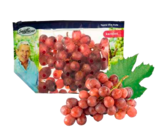 Tafeltrauben rot von SanLucar im aktuellen EDEKA Prospekt für 3,99 €