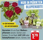 Angebot im E center Kornwestheim Prospekt E center Kornwestheim Prospekt mit im Angebot für 1,79 €