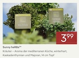 Sunny heRBsTM im aktuellen Pflanzen Kölle Prospekt für 3,99 €