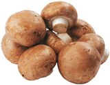 Braune Bio Champignons Angebote von REWE Bio bei REWE Stuttgart für 1,79 €