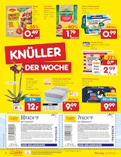 Aktueller Netto Marken-Discount Prospekt mit Felix Katzenfutter, "Aktuelle Angebote", Seite 2