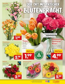 Blumen im Netto Marken-Discount Prospekt "Aktuelle Angebote" mit 60 Seiten (Bremen)